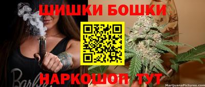 apvp Кингисепп