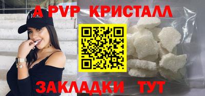 apvp Кингисепп