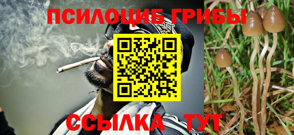 где купить наркотик  Галлюциногенные грибы Cubensis  Вход с VPN  Псилоцибиновые грибы Cubensis  Клин 